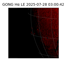 gong - 2025-07-28T03:00:42