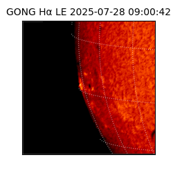 gong - 2025-07-28T09:00:42