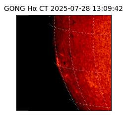 gong - 2025-07-28T13:09:42