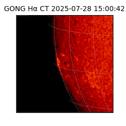 gong - 2025-07-28T15:00:42