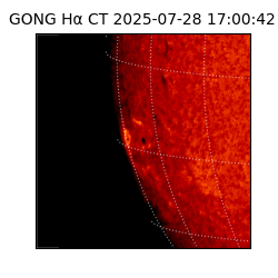 gong - 2025-07-28T17:00:42