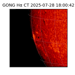 gong - 2025-07-28T18:00:42