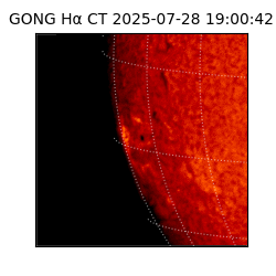 gong - 2025-07-28T19:00:42