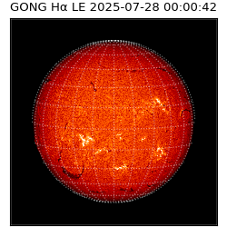 gong - 2025-07-28T00:00:42