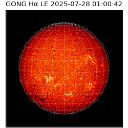 gong - 2025-07-28T01:00:42