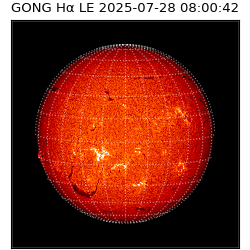 gong - 2025-07-28T08:00:42