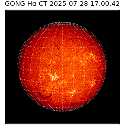 gong - 2025-07-28T17:00:42