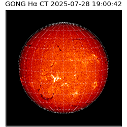 gong - 2025-07-28T19:00:42