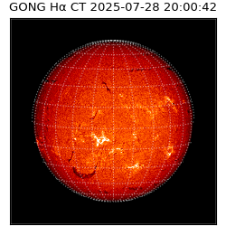 gong - 2025-07-28T20:00:42