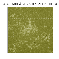 saia - 2025-07-29T06:00:14.130000