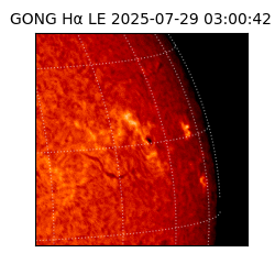 gong - 2025-07-29T03:00:42