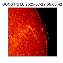gong - 2025-07-29T06:00:42