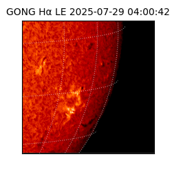 gong - 2025-07-29T04:00:42