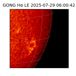 gong - 2025-07-29T06:00:42