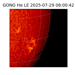 gong - 2025-07-29T08:00:42