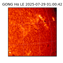 gong - 2025-07-29T01:00:42