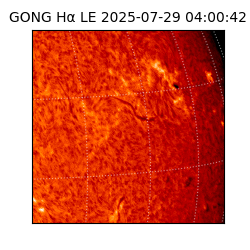 gong - 2025-07-29T04:00:42