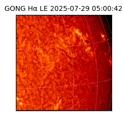 gong - 2025-07-29T05:00:42