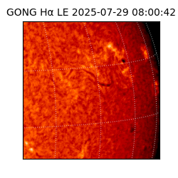 gong - 2025-07-29T08:00:42