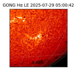 gong - 2025-07-29T05:00:42