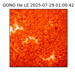 gong - 2025-07-29T01:00:42