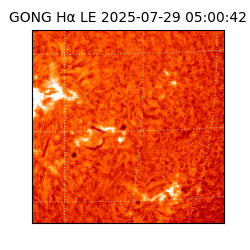 gong - 2025-07-29T05:00:42