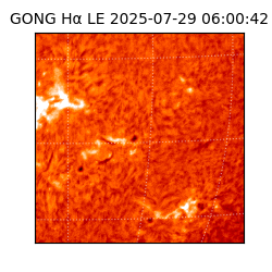 gong - 2025-07-29T06:00:42