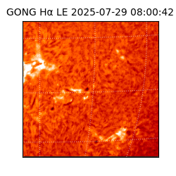 gong - 2025-07-29T08:00:42