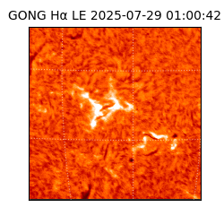 gong - 2025-07-29T01:00:42