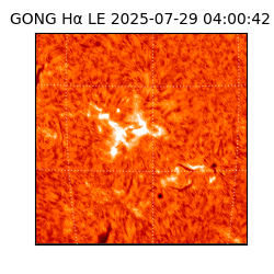 gong - 2025-07-29T04:00:42