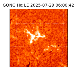 gong - 2025-07-29T06:00:42