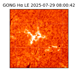 gong - 2025-07-29T08:00:42