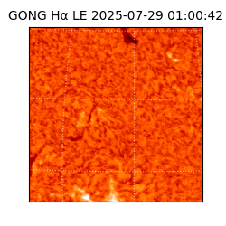 gong - 2025-07-29T01:00:42