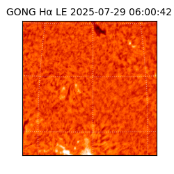 gong - 2025-07-29T06:00:42