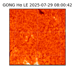 gong - 2025-07-29T08:00:42