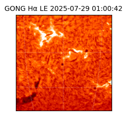 gong - 2025-07-29T01:00:42