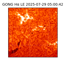 gong - 2025-07-29T05:00:42