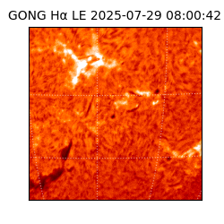 gong - 2025-07-29T08:00:42