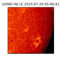 gong - 2025-07-29T05:00:42