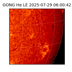 gong - 2025-07-29T06:00:42