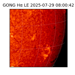 gong - 2025-07-29T08:00:42