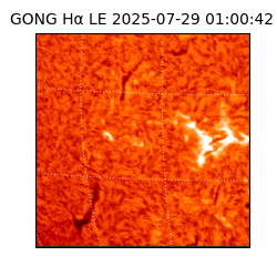 gong - 2025-07-29T01:00:42