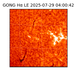 gong - 2025-07-29T04:00:42