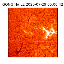 gong - 2025-07-29T05:00:42