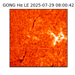 gong - 2025-07-29T08:00:42