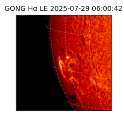 gong - 2025-07-29T06:00:42