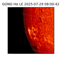 gong - 2025-07-29T08:00:42