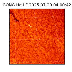 gong - 2025-07-29T04:00:42