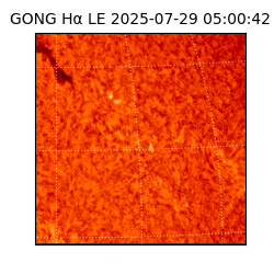 gong - 2025-07-29T05:00:42