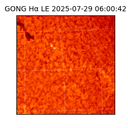 gong - 2025-07-29T06:00:42